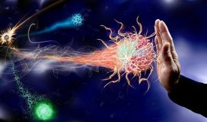 the power of our immune system