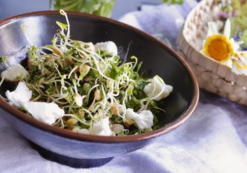 sprout salad with cauliflower pickles